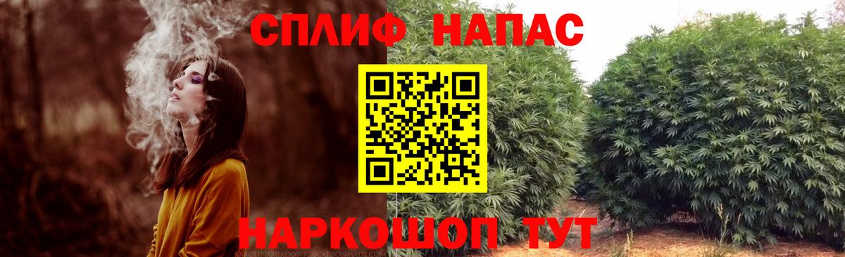 Бийск  Шишки марихуана Bruce Banner  Вход с VPN  МАРИХУАНА Bruce Banner 